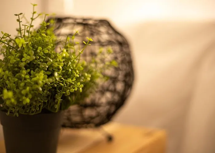 Marea Fuerteventura 2 Apartmán Corralejo