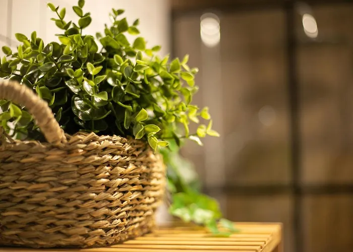 Marea Fuerteventura 2 Apartmán