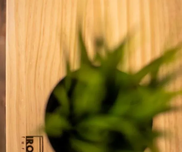 Marea Fuerteventura 2